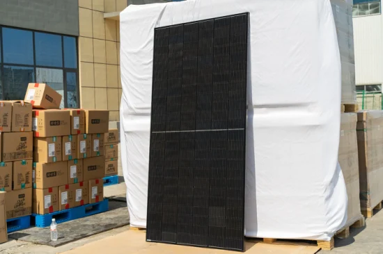 Monosilicon Silicon Sunpower System PV Module Solar Panel